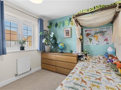 Picture 15